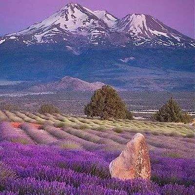 玩具车争霸赛无敌版