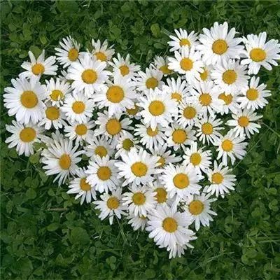 乐高忍者闯遗忘之都