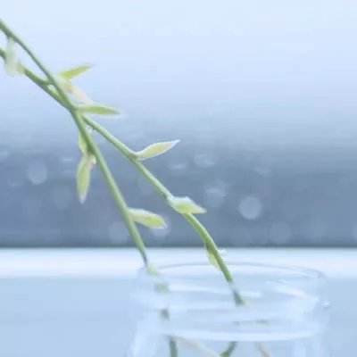 高能英雄-多英雄战术竞技